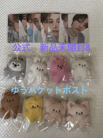 stray kids 마이크로 키링 컴프 8 skzoo 스키즈
