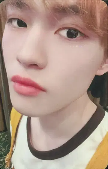 NCT DREAM MUDDLER 버전 CHENLE Moonlight