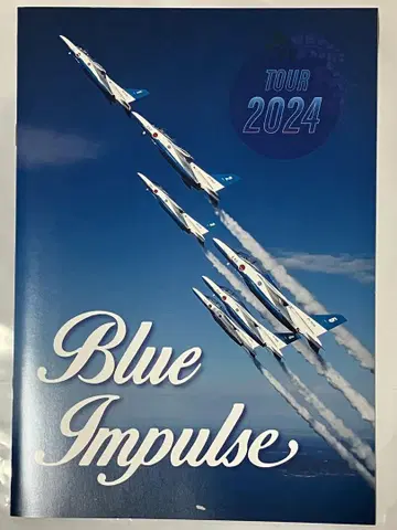 블루 임펄스 사인 포함 팜플렛 2024