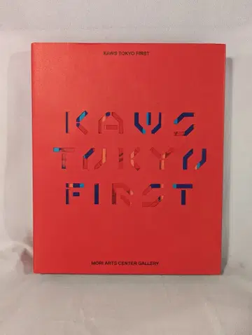 블루 쉽 도록 KAWS TOKYO FIRST