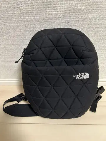 새상품급 THE NORTH FACE - (지오 페이스 미니 팩)