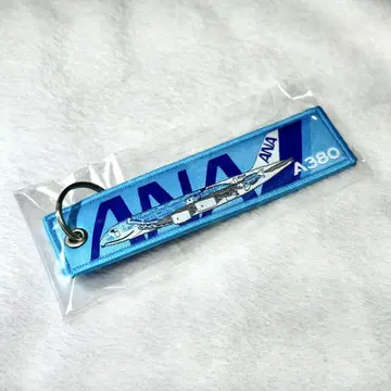 ANA A380 플라잉 호누 1호기 플라이트 택