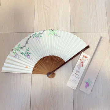 교 켄고 후지 패턴 보관함 포함