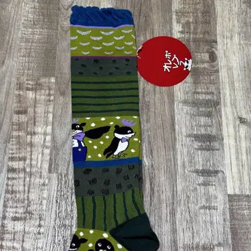 알베로베로 하이삭스!