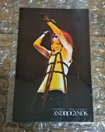 PIERROT ANDROGYNOS RAFFLE 복권 키리토 G상