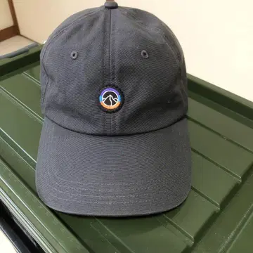 파타고니아 patagonia 캡