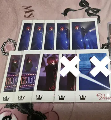 기사 X 바우군 포토 카드