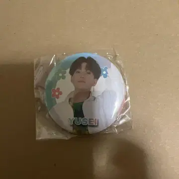 야기 유세이 캔뱃지 5개