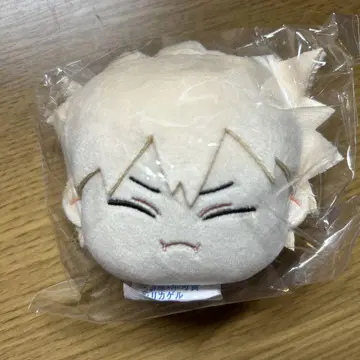 히로아카 펑키페 바쿠가오