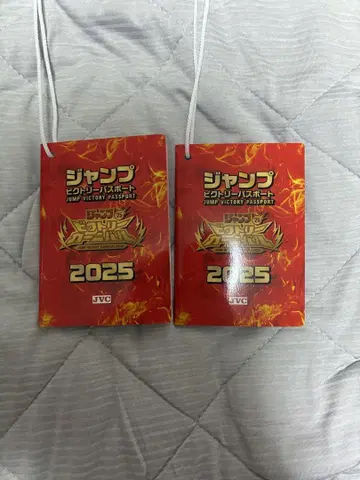 점프 빅토리 카니발 여권