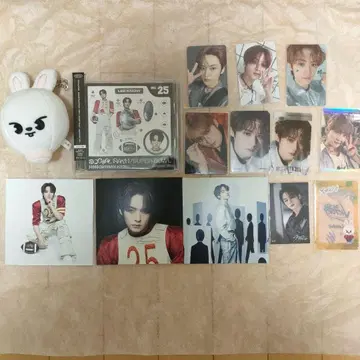 Straykids 스키즈 Leeknow 리노 CD 트레이딩 카드 백참
