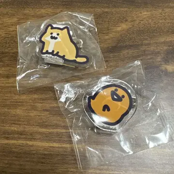 문구와 함께 아크릴 배지 새끼 고양이 젤리 문구 광장