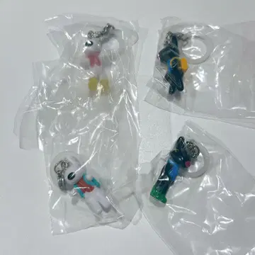 리사와 가스파르 메지루시 액세서리