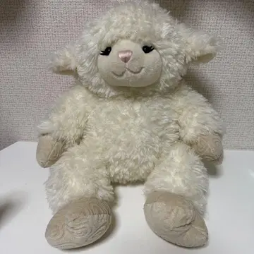 빌드 베어 양 양