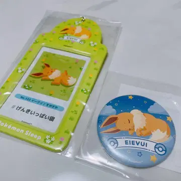 포켓몬 슬립 시부야 카드 케이스 이브이 캔뱃지