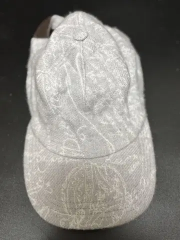 벨루티 BERLUTI 캡 그레이