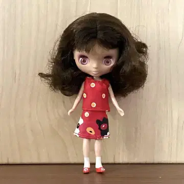 미니 브라이스 팬시 팬지 인형 본체
