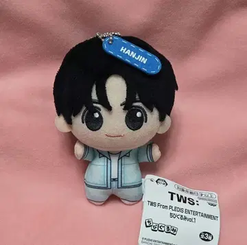 TWS From PLEDIS ENTERTAINMENT SD 인형 한진