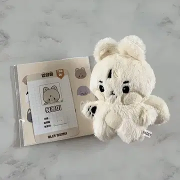 theboyz 큐 봉제 인형 인형