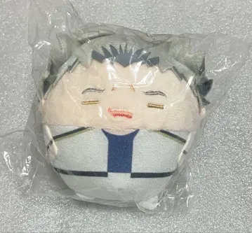 하이큐 보쿠토 코타로 후와코로린 스페셜