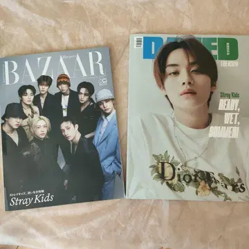 Stray Kids skz 스키즈