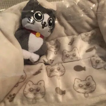 다이토 복권 고양이로 환생한 아저씨 B상 봉제 인형이 포함된 티슈 케이스