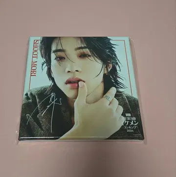 BUDDiiS 모리 슈토 캔버스 보드 S상