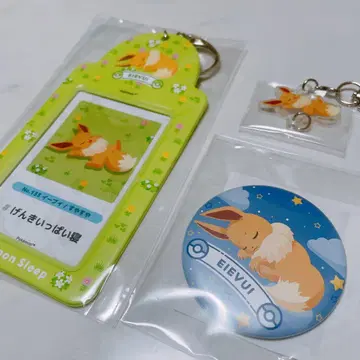 포켓몬 슬립 이브이 카드 케이스 참 캔뱃지
