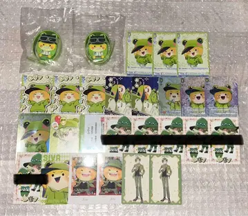 컬러풀 피치 카라피치 시바 묶음 판매