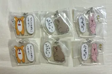 큐 라이스 메지루시 액세서리 스키네즈미 스키우사기 슬픈 곰
