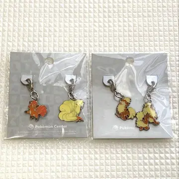 포켓몬 센터 메탈 참 로콘 가디