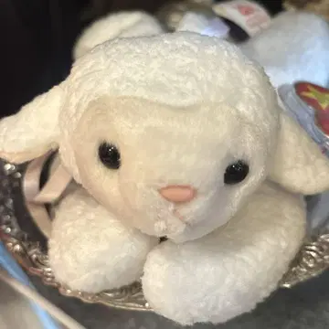 ty 봉제 인형 양