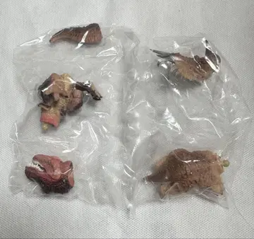 생물대도감 레프티 공룡 02 스티라코사우루스 티라노사우루스