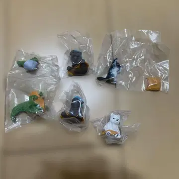 동물 사우나 8 치와와 악어 북극곰 하마