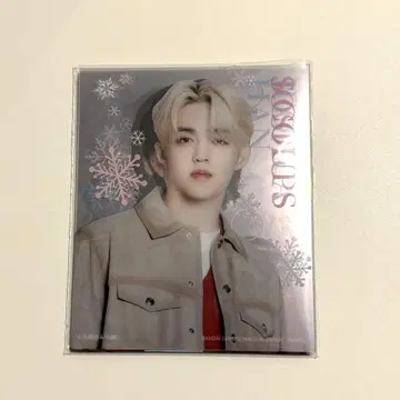 SEVENTEEN 제일복권 라스트원상 미니 포스터