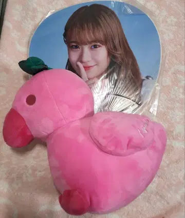 girls2 리본 카모시군 오다 유즈하 모리 판타지