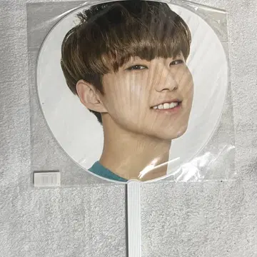 SEVENTEEN 호시 부채