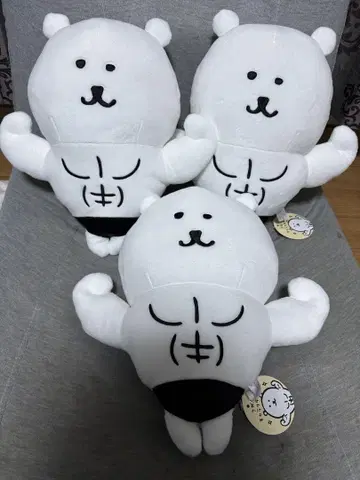 나가노 캐릭터 자랑스러운 근육 BIG 봉제 인형 3개 세트