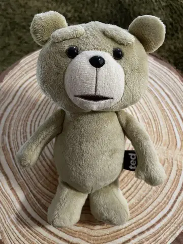테드 Ted 봉제 인형