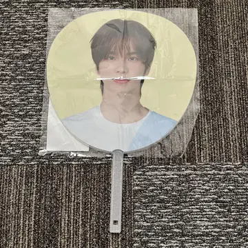 tws 시뉴 부채