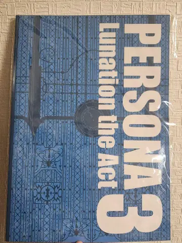 무대 페르소나 3 팜플렛 PERSONA3 LUNATION THE ACT
