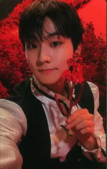 ENHYPEN 뉴 정원 다크 블러드