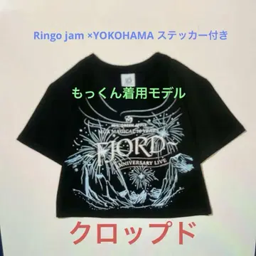 FJORD 글리터 로고 티셔츠 M 스테 오모리 모토키 착용 모델 크롭