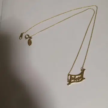목걸이 1개 알라딘