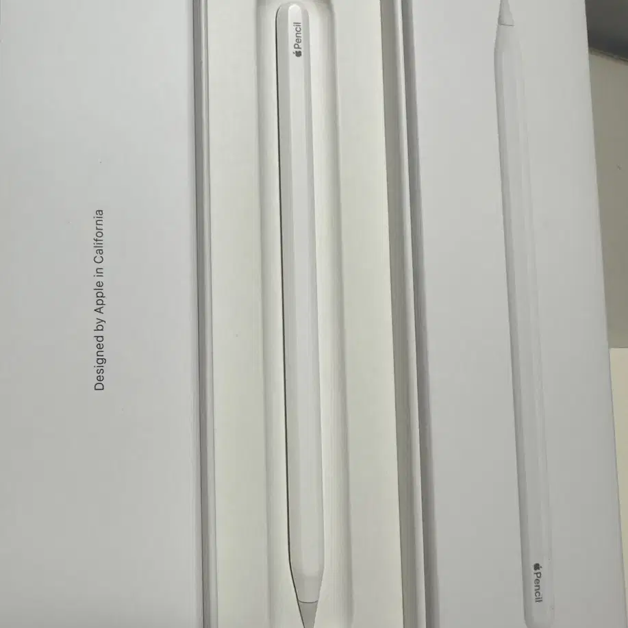 APPLE | 애플 Apple Pencil 2nd generation on Bunjang Global Site.