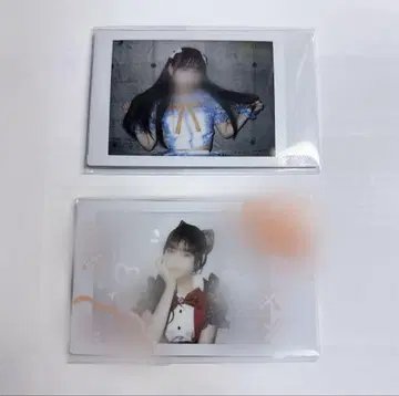 날마다 고리 란체키