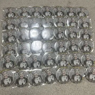 하이큐 보쿠토 코타로 컬렉션 캔뱃지