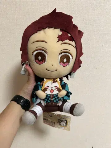 귀멸의 칼날 탄지로 봉제 인형 약 30cm
