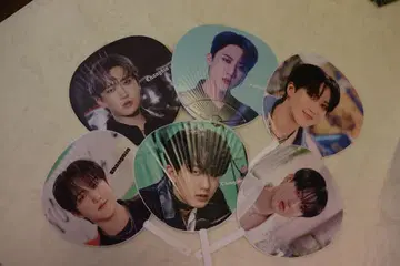 스트레이키즈 찬빈 부채 6개 세트