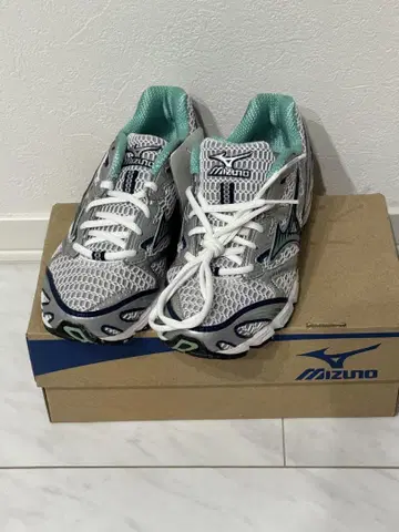 Mizuno Wave Inspire 러닝화